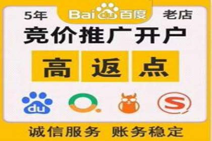 案例研究：竞价广告助力电商行业增长
